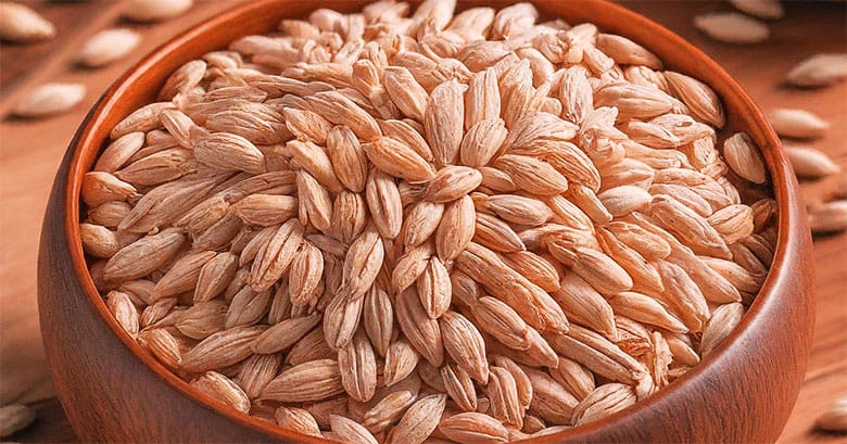 スーパー大麦･バーリーマックスを通販お取り寄せ