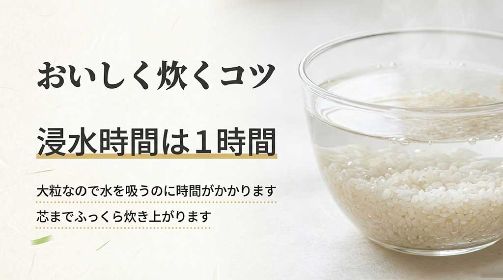 大粒のあいちのかおりを芯までふっくら炊き上げるために、1時間の浸水が必要であることを説明する炊飯ガイド