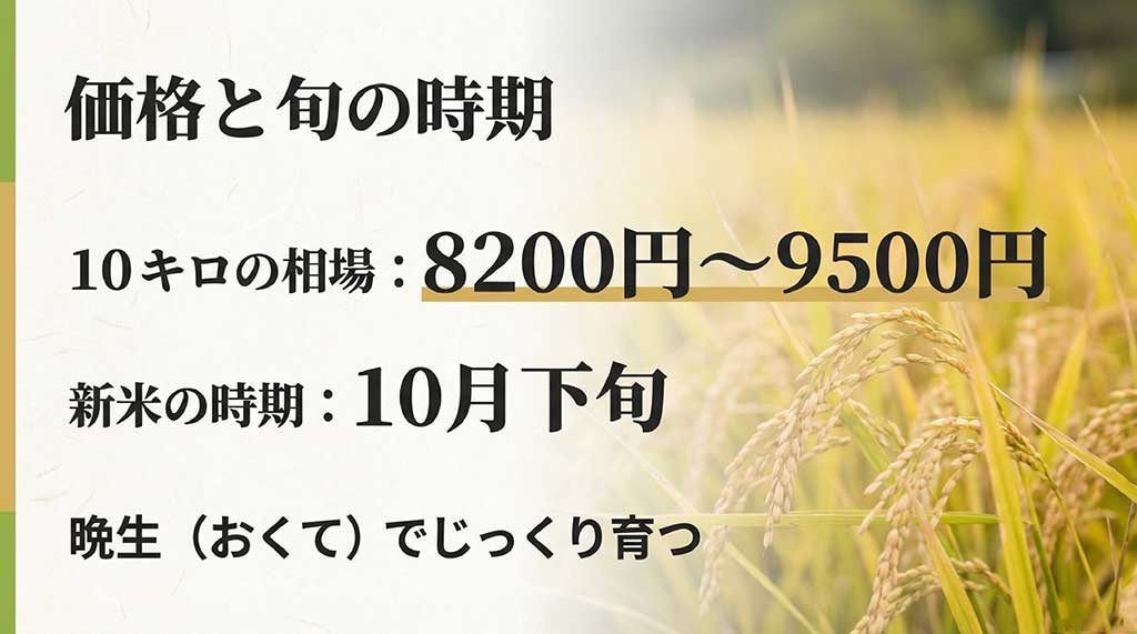 10kgあたりの通販価格相場（8,200円〜9,500円）と、10月下旬の新米時期、晩生品種の特徴をまとめたデータ