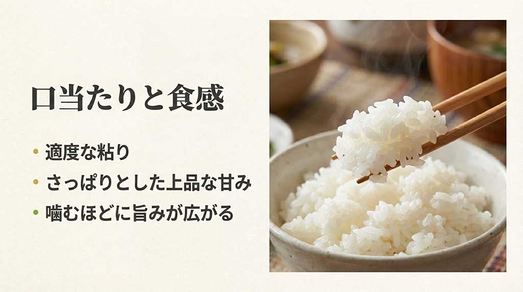 茶碗に盛られたあいちのかおりの写真と、適度な粘り、さっぱりした上品な甘み、噛むほどに広がる旨みを説明する資料