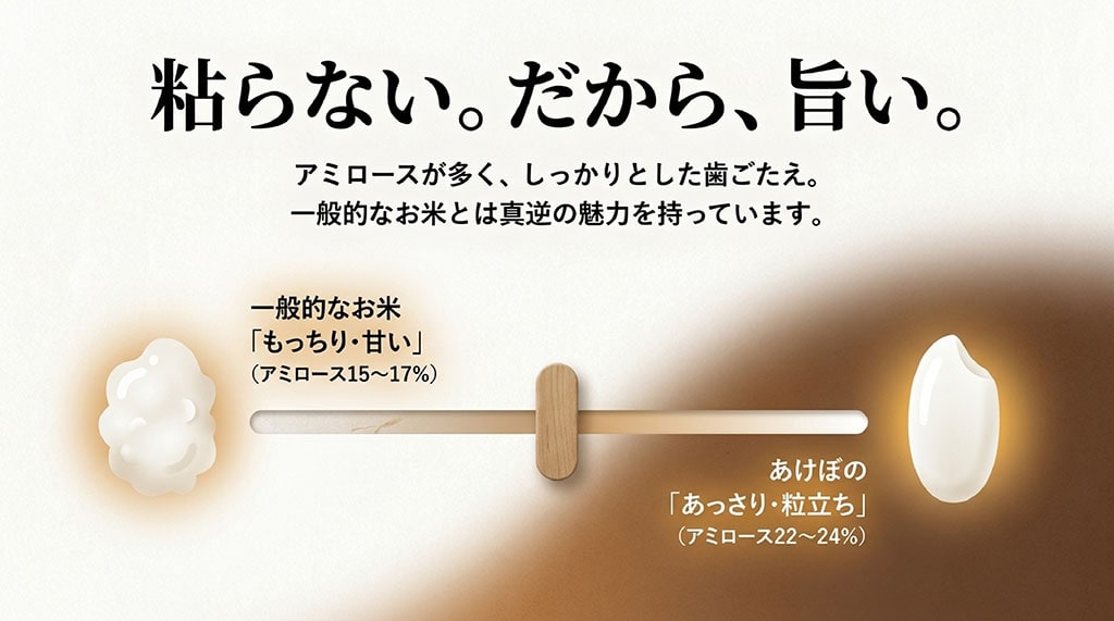 一般的なお米(もっちり・甘い)とあけぼの(あっさり・粒立ち)のアミロース含有量比較図