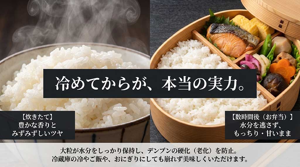 炊きたてのみずみずしさと、数時間後のお弁当でももっちり感が続く理由（大粒による保水力）を説明する画像