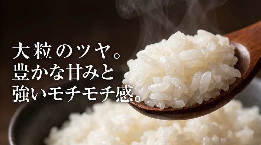 大粒のツヤがあり、豊かな甘みと強いモチモチ感を持つあきほなみの特徴