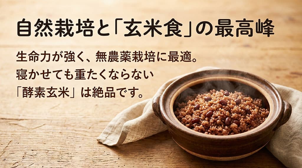 自然栽培と「玄米食」の最高峰。生命力が強く、無農薬栽培に最適。寝かせても重たくならない「酵素玄米」は絶品です。