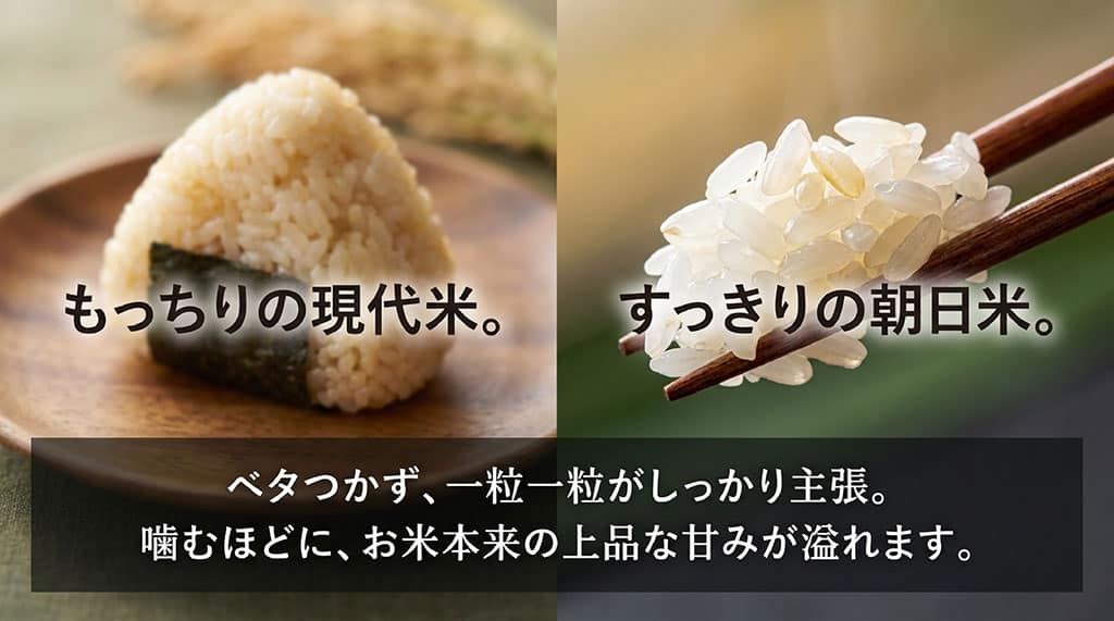 もっちりの現代米。すっきりの朝日米。ベタつかず、一粒一粒がしっかり主張。噛むほどに、お米本来の上品な甘みが溢れます。