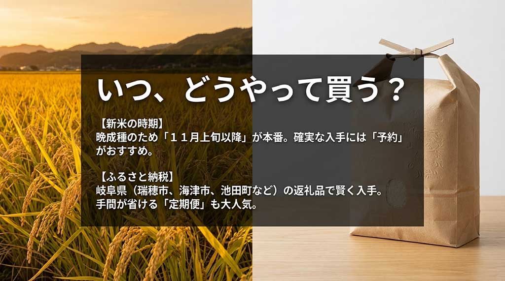 11月以降の新米時期と、岐阜県の自治体(瑞穂市・海津市・池田町)の定期便活用を勧める案内