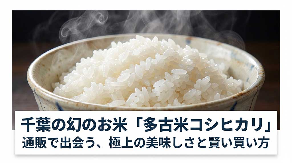 多古米コシヒカリの炊きたてのご飯が盛られた茶碗のイメージ