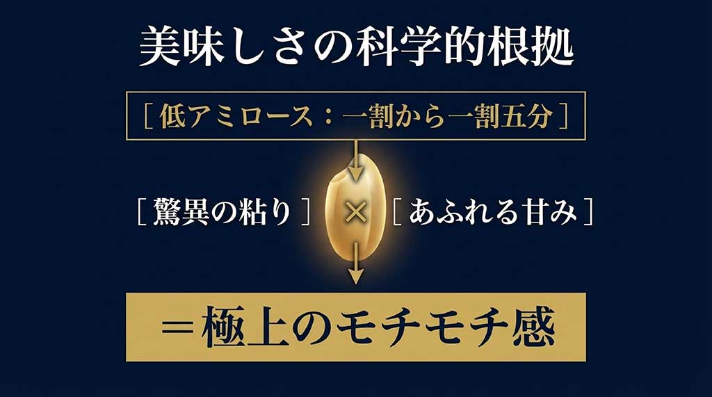だて正夢の極上のモチモチ感の理由。低アミロース（1割〜1割5分）による驚異の粘りとあふれる甘みの相関図
