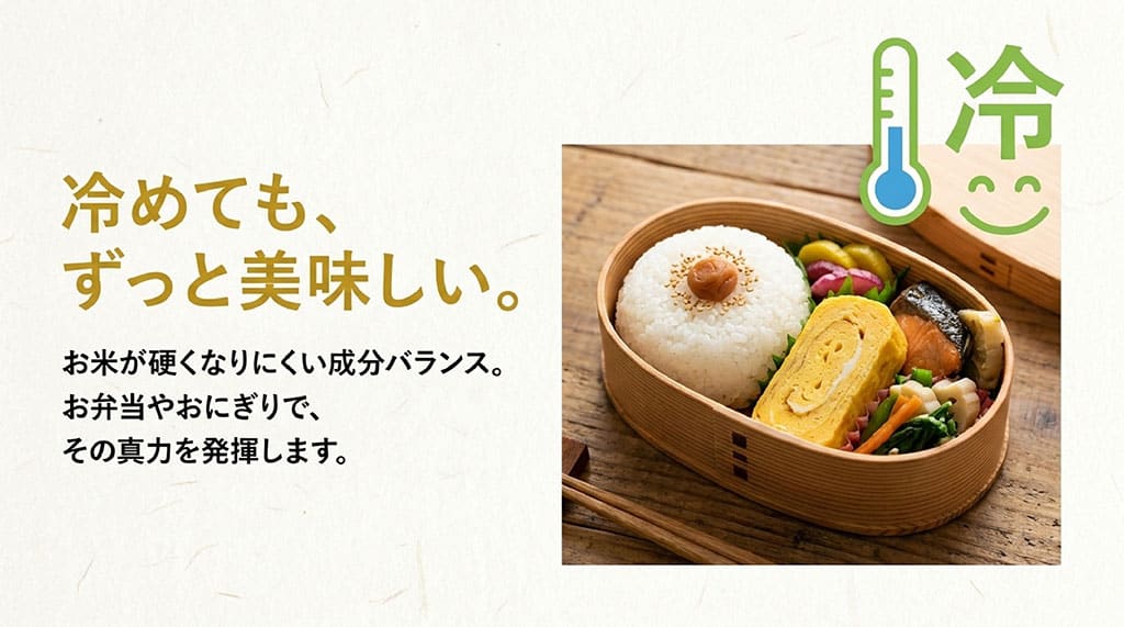 冷めてもずっと美味しい。お米が硬くなりにくい成分バランスで、お弁当やおにぎりで真価を発揮します。