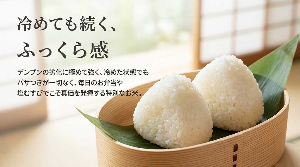 デンプンの劣化に強く、冷めてもパサつきがないため、お弁当や塩むすびに最適な金色の風の特徴