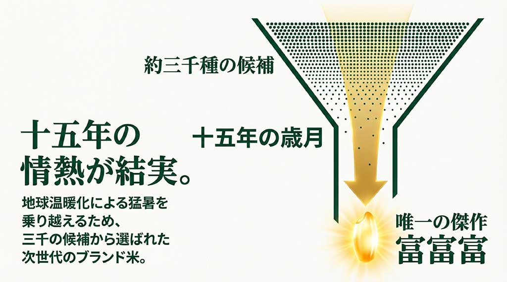 15年の歳月と約3,000の候補から選ばれた、地球温暖化の猛暑を乗り越える次世代ブランド米の開発背景