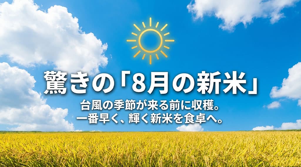 驚きの8月の新米。台風の季節が来る前に収穫し、一番早く輝く新米を食卓へ。