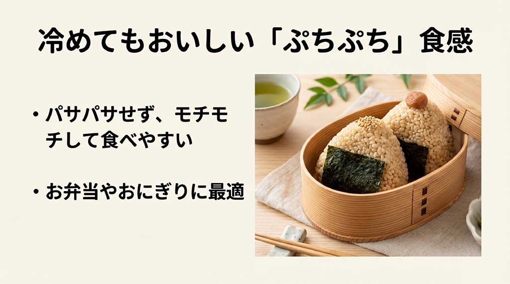 曲げわっぱのお弁当に入れられた、梅干しとごまが乗った発芽玄米のおにぎり。パサつかずモチモチして、お弁当に最適であることを解説