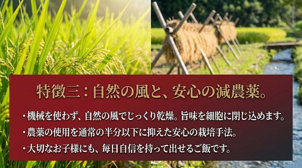 自然風乾燥と減農薬栽培：旨味を閉じ込めた安心・安全な元気つくしのお米