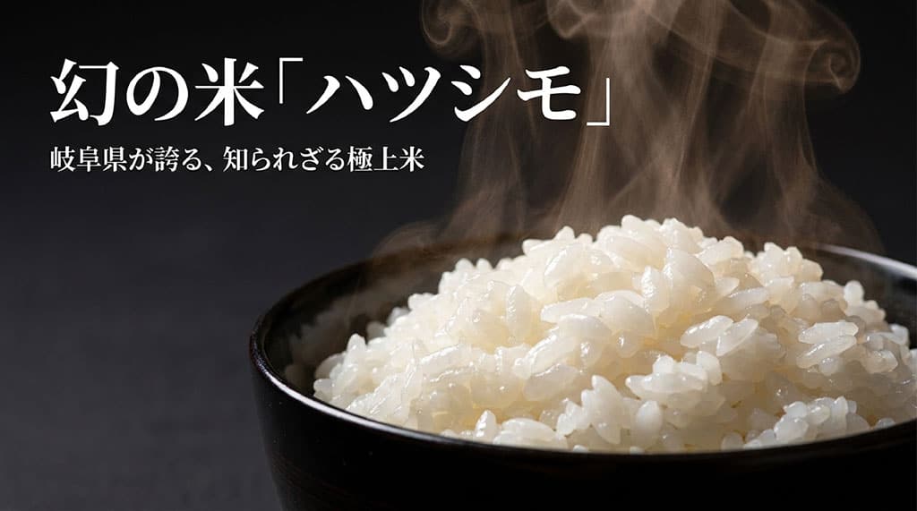 幻の米と呼ばれる岐阜県産ハツシモを紹介するアイキャッチ画像。