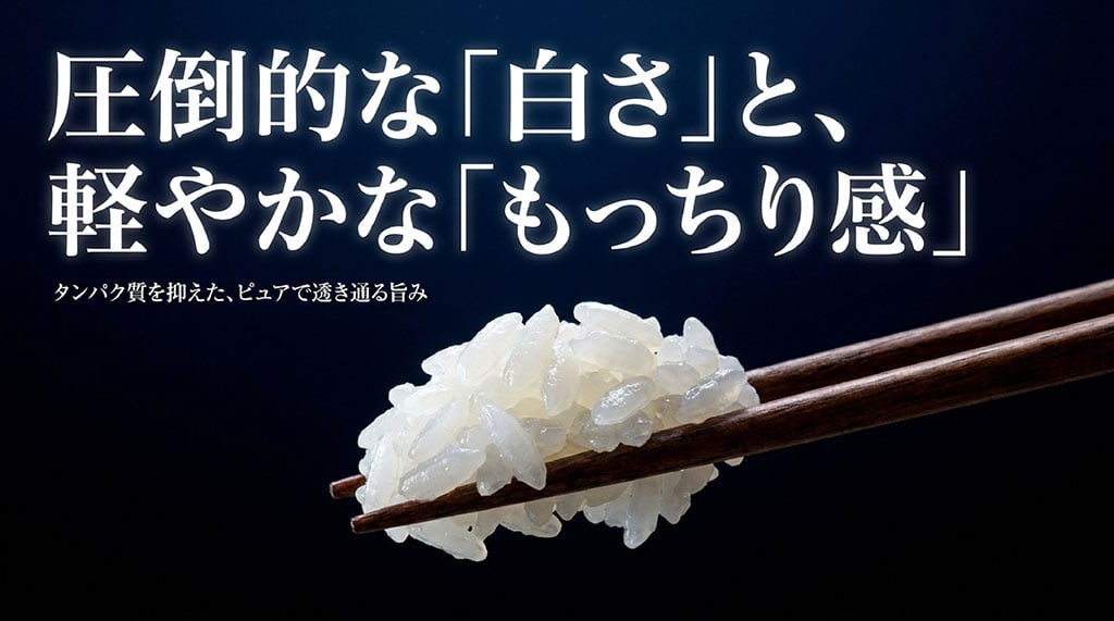 圧倒的な白さと軽やかなもっちり感、タンパク質を抑えたピュアで透き通る旨味と書かれたスライド