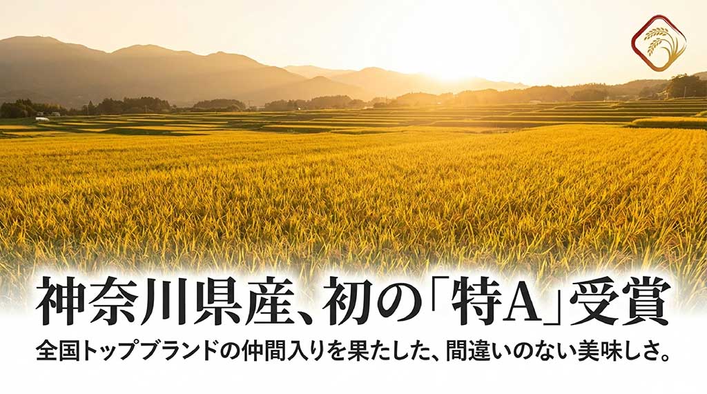 神奈川県産初の「特A」を受賞し、全国トップブランドの仲間入りを果たした美味しさを伝えるスライド