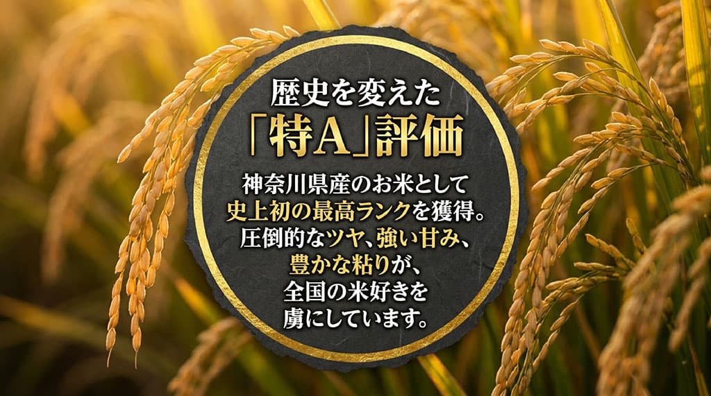 日本穀物検定協会の食味ランキングで特Aを獲得した神奈川県産米はるみの実績を説明するスライド