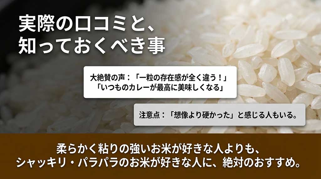 「一粒の存在感」を絶賛する声と、シャッキリ系が好きな人におすすめであることを伝える図解