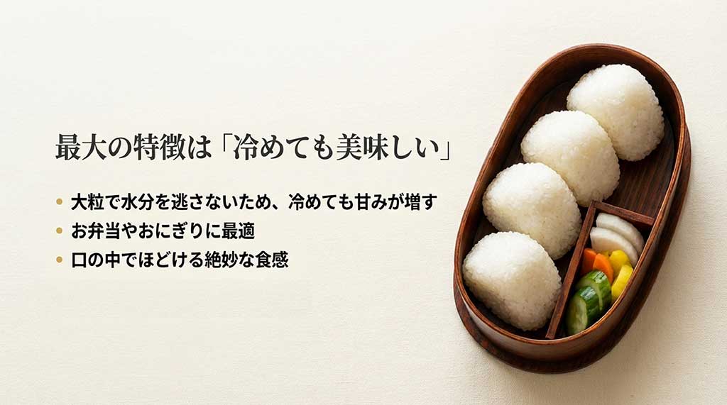大粒で水分を逃さないため冷めても甘みが増し、お弁当やおにぎりに最適であることの解説