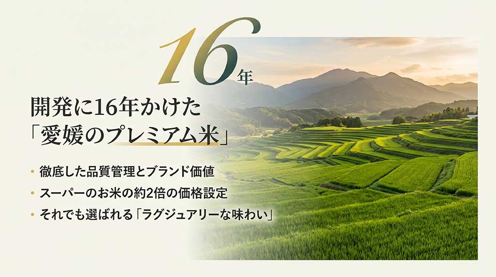 開発に16年を要した愛媛のプレミアム米ひめの凜の紹介。スーパーの約2倍の価格設定ながらラグジュアリーな味わい