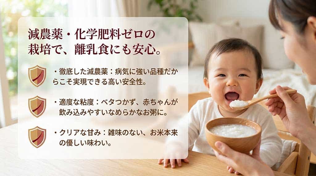 減農薬・化学肥料ゼロ栽培の安全性、赤ちゃんが飲み込みやすいなめらかな食感、クリアな甘みについて解説