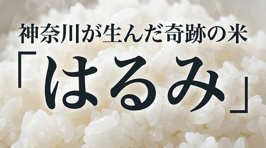神奈川が生んだ奇跡の米「はるみ」というタイトルが書かれた、ブランド米の紹介スライド