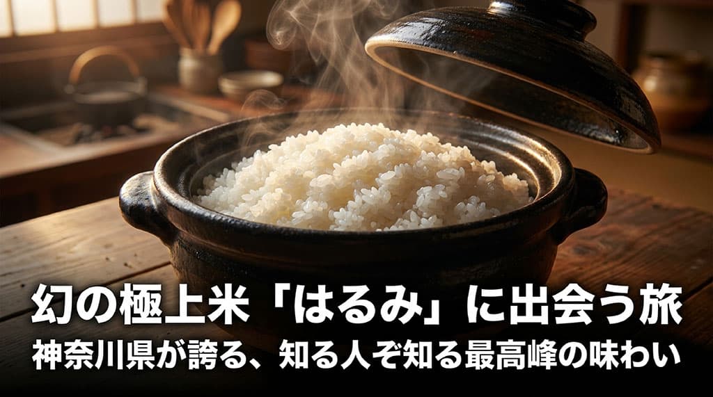 神奈川県産の幻の極上米「はるみ」の魅力を紹介する記事のサムネイル画像