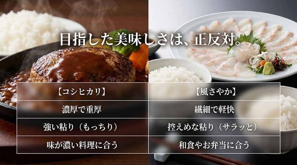 コシヒカリと風さやかの特徴比較。濃厚で重厚なコシヒカリに対し、繊細で軽快な風さやか
