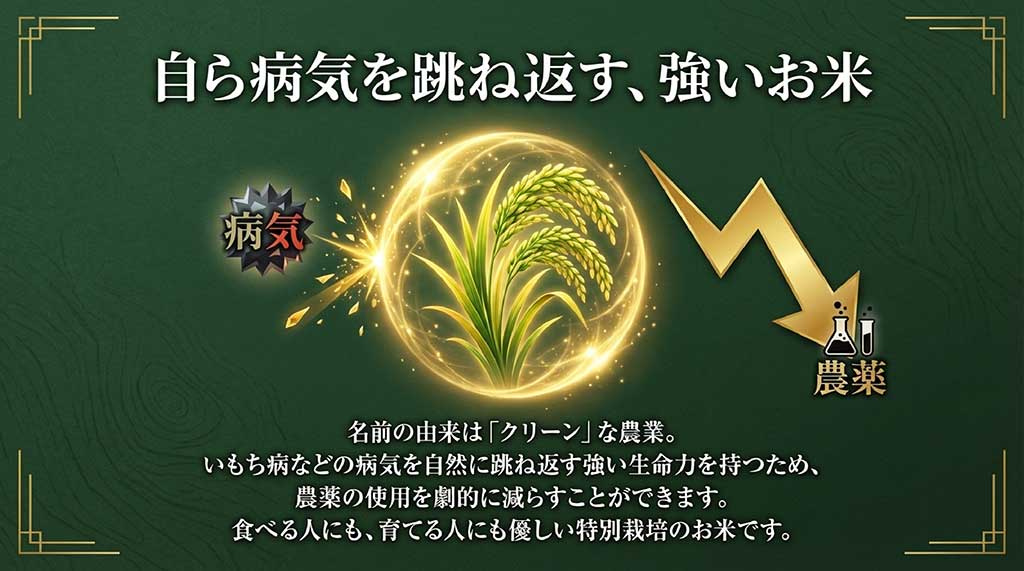 きたくりんは、いもち病などの病気を自然に跳ね返す強い生命力を持つため、農薬の使用を大幅に減らせる