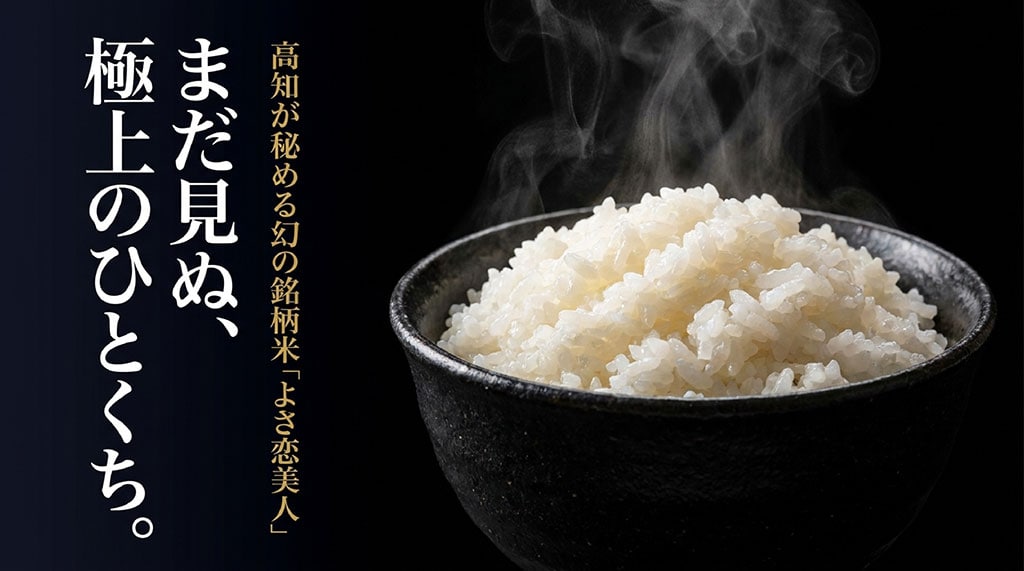 極上のひとくちを味わえる高知が秘める幻の銘柄米「よさ恋美人」のイメージ画像