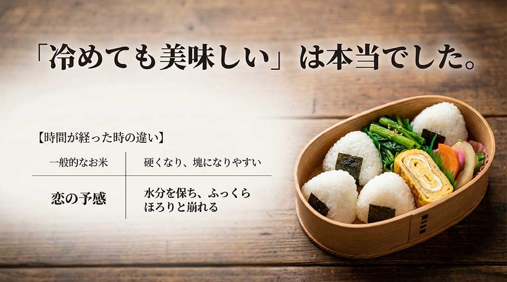 時間が経っても水分を保ち、ふっくらとほぐれる「恋の予感」と、硬くなりやすい一般的なお米の比較表