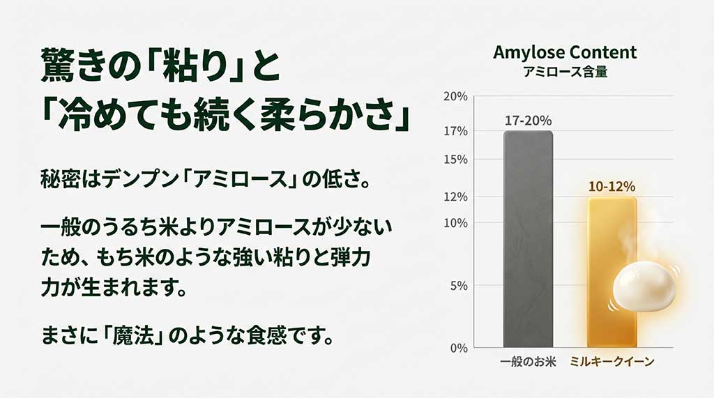 一般的なお米(17-20%)とミルキークイーン(10-12%)のアミロース含有量を比較した棒グラフ