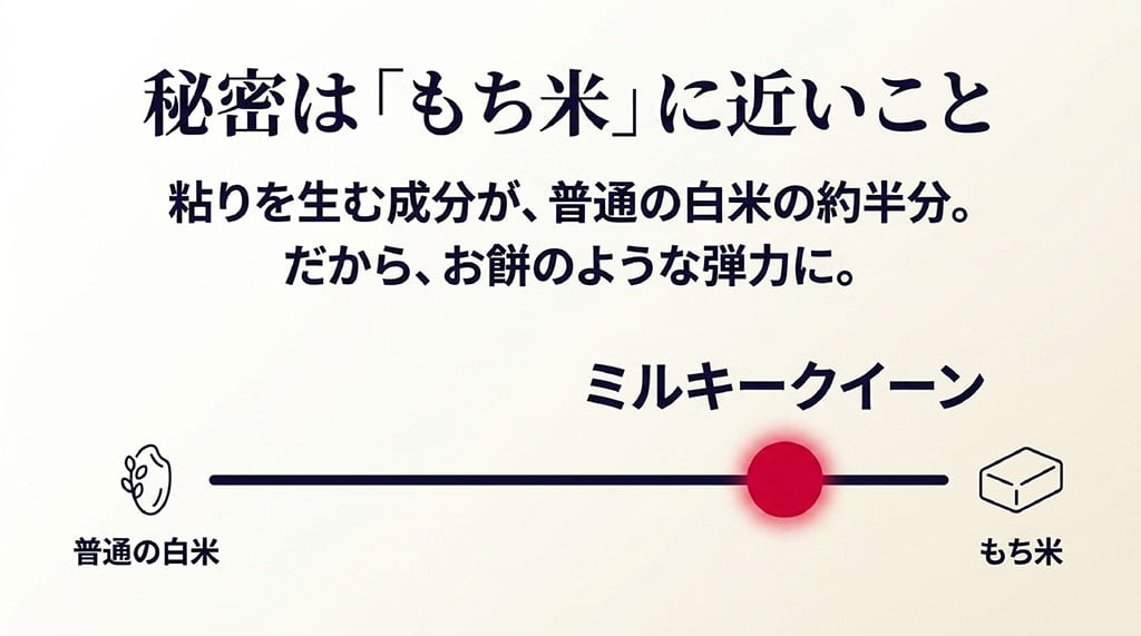 普通の白米ともち米の中間に位置し、粘り成分アミロースが少ないミルキークイーンのメカニズム図解