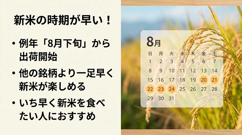 みずかがみの新米が8月下旬から出荷開始されることを示すカレンダー。他の銘柄より一足早く新米を楽しめるメリット