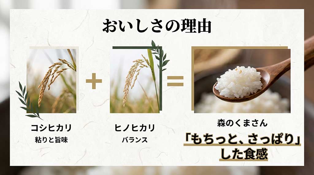 森のくまさんの家系図。コシヒカリの粘りと旨味、ヒノヒカリのバランスを継承し、「もちっと、さっぱり」した食感を実現した理由を解説