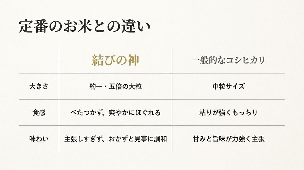 結びの神と一般的なコシヒカリの大きさ(約1.5倍の大粒)、食感(べたつかない)、味わい(おかずと調和)の違いをまとめた比較スライド