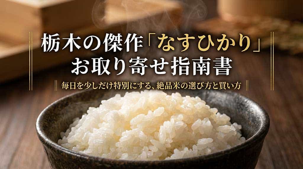 栃木県のブランド米「なすひかり」のお取り寄せ方法を解説するガイドブックの表紙画像
