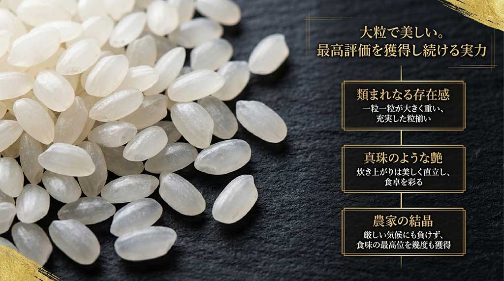 なすひかりの大粒で美しい炊き上がりと、食味ランキングでの高い評価実績を紹介する資料