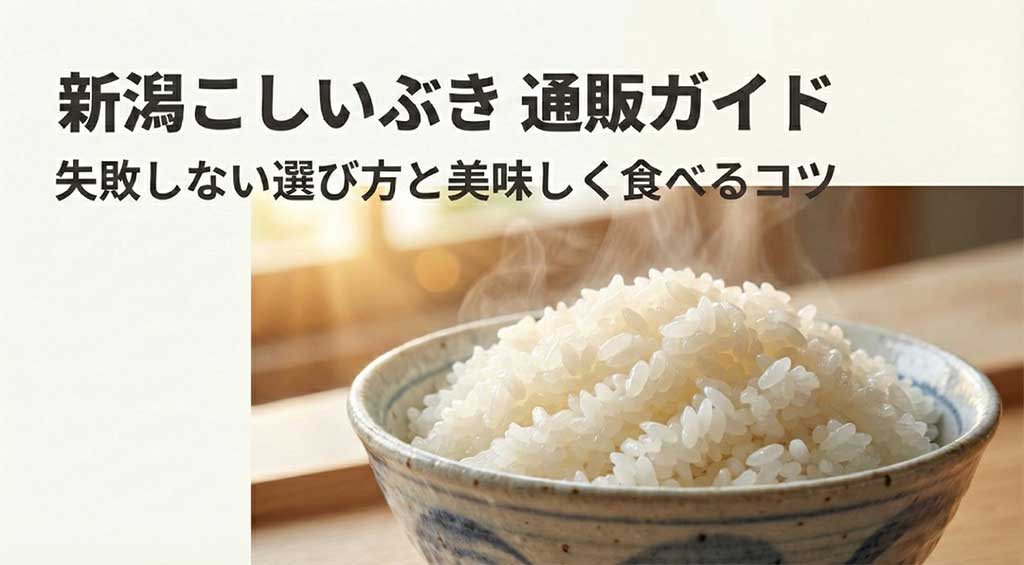新潟こしいぶきの失敗しない選び方と美味しく食べるコツを紹介する通販ガイドの表紙