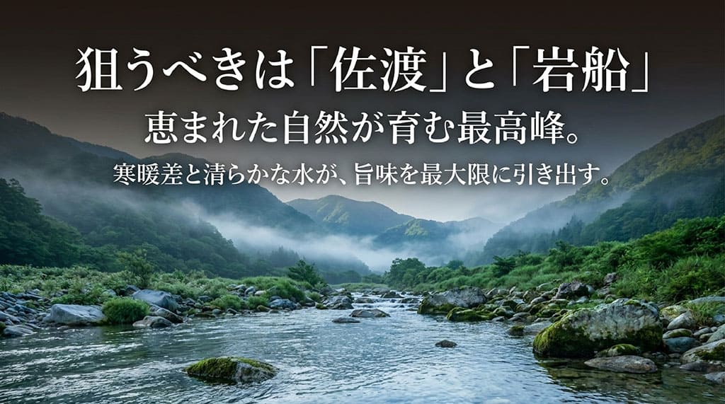狙うべきは佐渡と岩船。恵まれた自然、寒暖差と清らかな水がゆきん子舞の旨味を最大限に引き出すと解説するスライド
