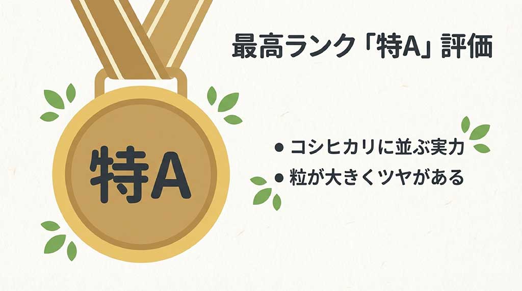 最高ランク特A評価で粒が大きくツヤがあるにこまるの特徴