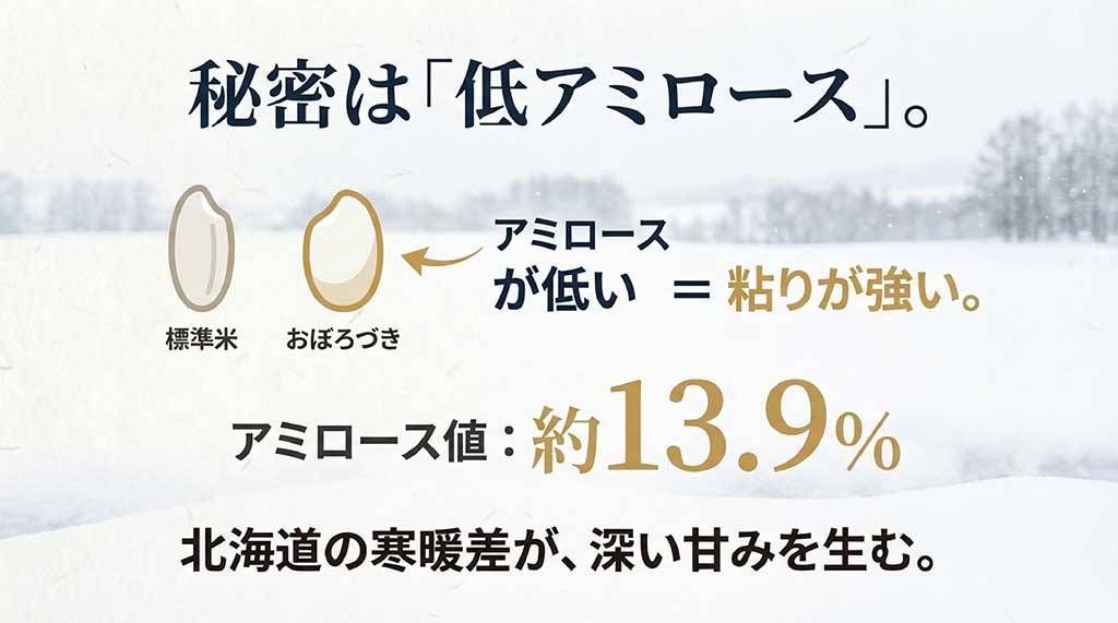 低アミロース(約13.9%)が強い粘りを生む仕組みを解説したグラフスライド