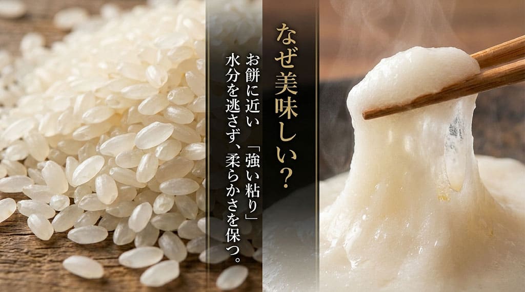 なぜ美味しい?水分を逃さず柔らかさを保つ、お餅に近い強い粘り