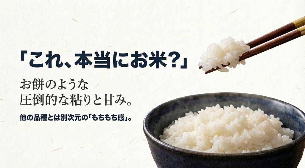 お餅のような圧倒的な粘りと甘みが特徴のお米「おぼろづき」を説明する画像