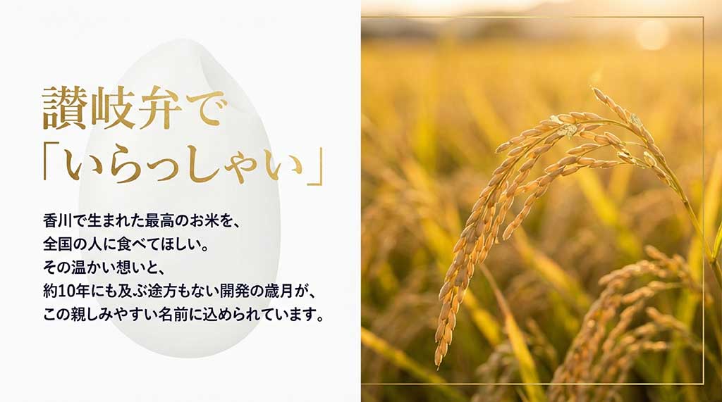 讃岐弁で「いらっしゃい」を意味する名前の由来と、10年に及ぶ開発歳月についての解説