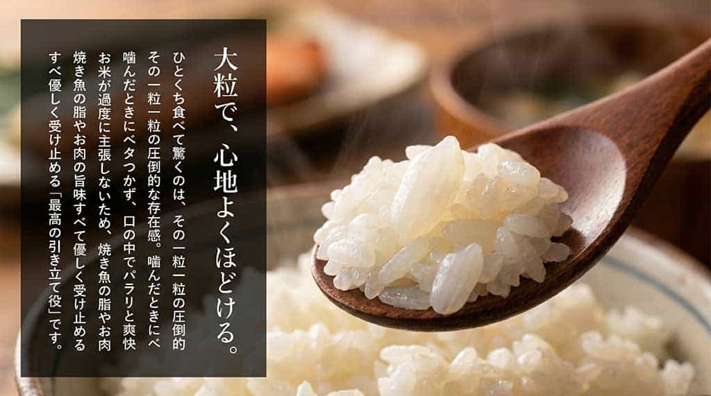 岡山米あけぼのの特徴である、大粒でベタつかず口の中でパラリとほどける爽快な食感と、おかずを引き立てる特徴を説明するスライド資料。