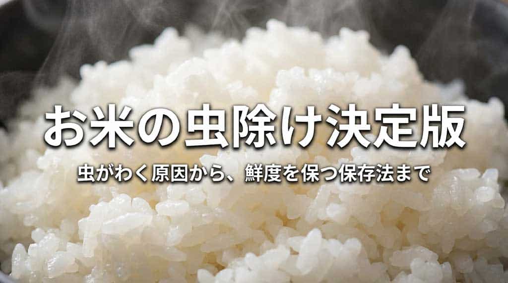 お米の虫除け決定版。虫がわく原因から鮮度を保つ保存法までのガイド表紙