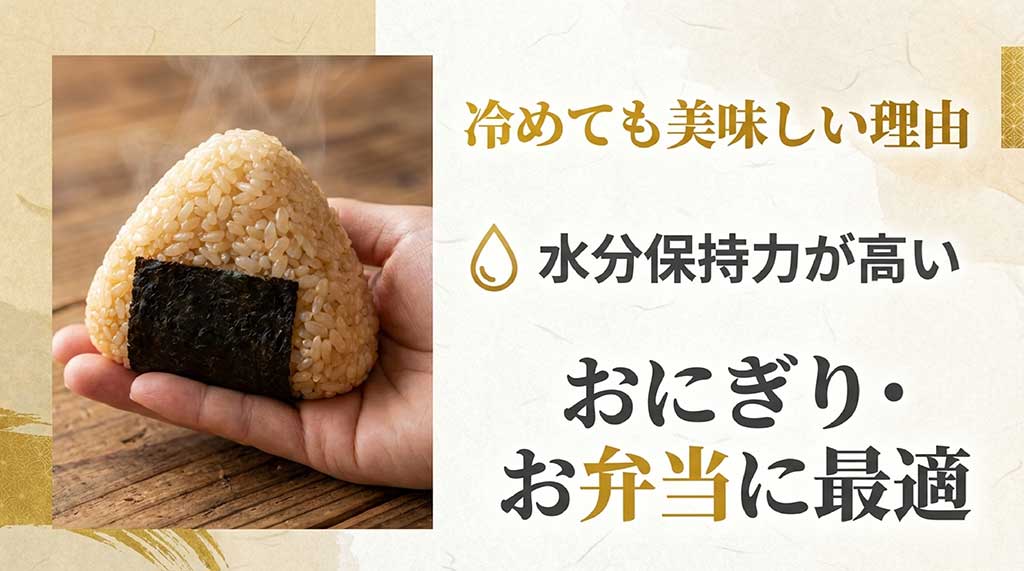 水分保持力が高いため冷めても美味しく、おにぎりやお弁当に最適であることを、美味しそうなおにぎりの写真とともに解説するスライド