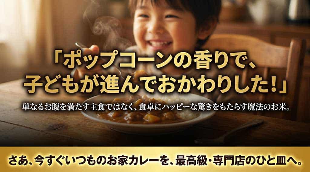 「ポップコーンの香りで子どもが進んでおかわりした！」という口コミと、お家カレーを最高級・専門店のひと皿へ変えようと呼びかける、まとめのスライド。